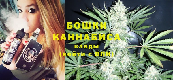 шишки Белоозёрский