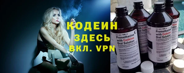 шишки Белоозёрский