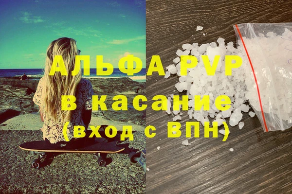 шишки Белоозёрский