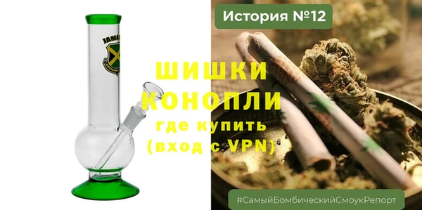 шишки Белоозёрский