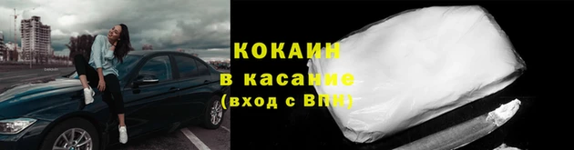 шишки Белоозёрский