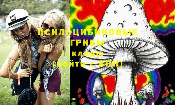 шишки Белоозёрский